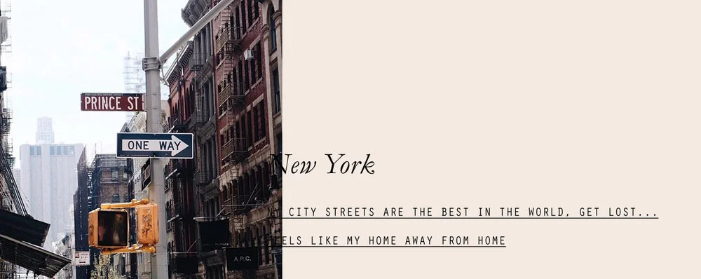 newyork-lppcityguidetonyc-lppcityguidelespetitespestes-06.jpg