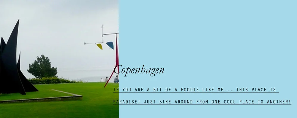 copenhagen-lppcityguidetocph-lppcityguide-lespetitespestes-01.jpg.jpg