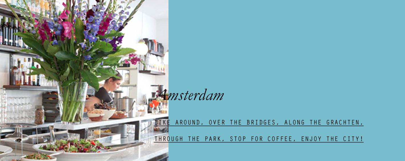 Amsterdam- lppcityguideamsterdam-09.jpg