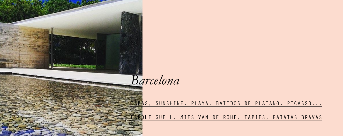 barcelona-lespetitespestes-04.jpg