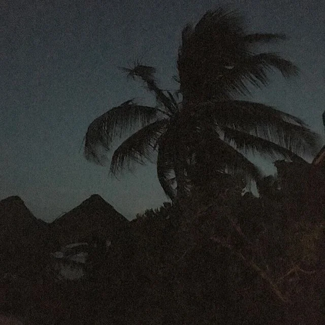 13473167_686875874793831_373050795_n.jpg