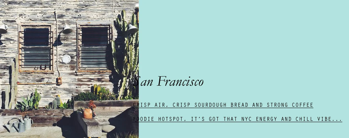 sanfrancisco-lppcityguidetosanfran-lppcityguides-lespetitespestes-06.jpg