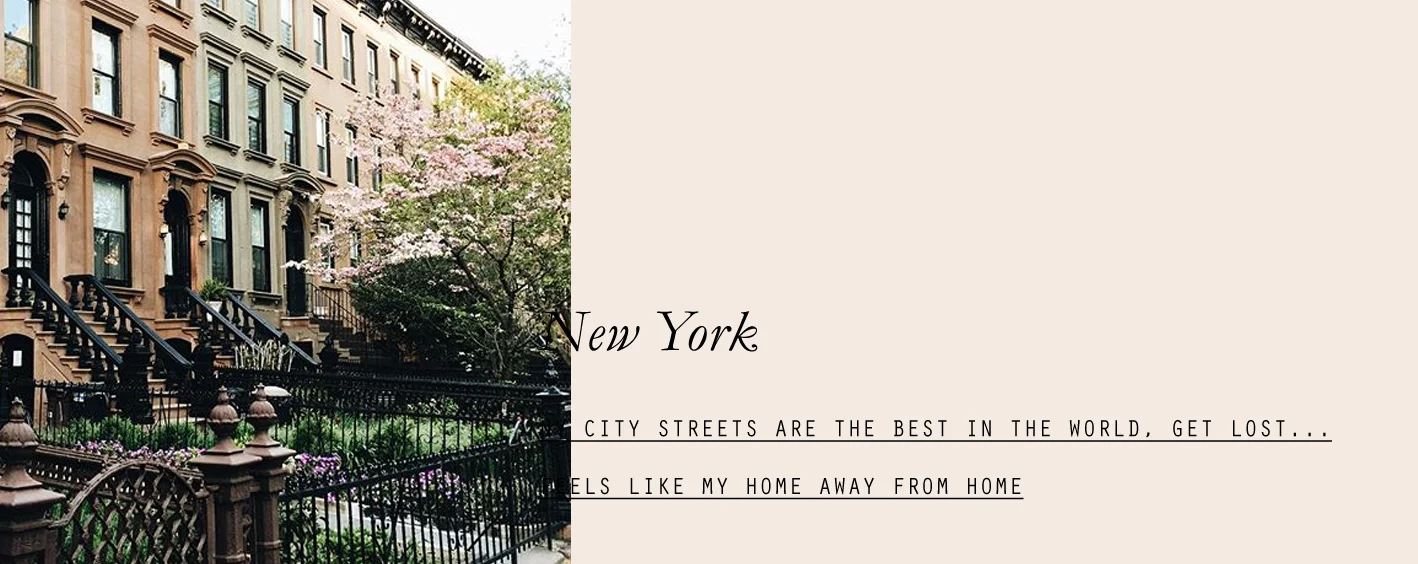 newyork-lespetitespestes-02.jpg