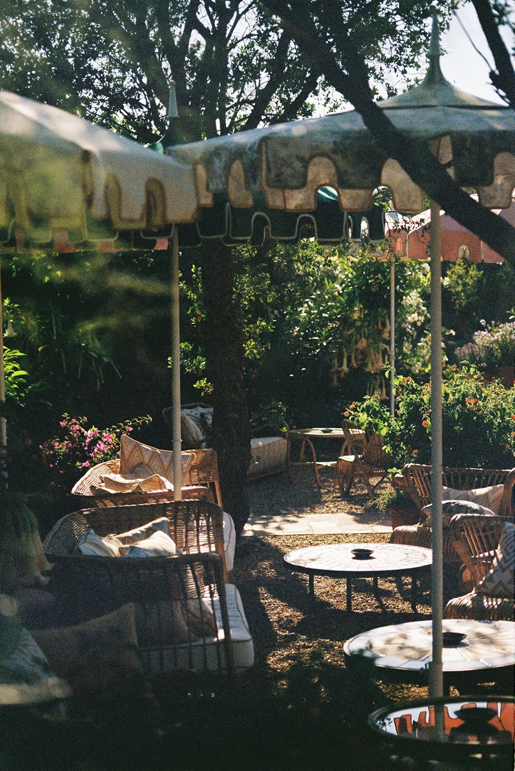 EPI-1959-19-1-Garden.jpg