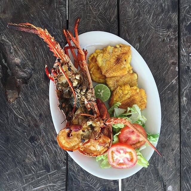 🍌PATACONES🍌 Who in Belgium can make me this? So so good! Would mind the lobster on the side either! 🦞 Double fried green bananas or plaintains are a typical side to any colombian dish. You&rsquo;ll probably spot a vendor cart serving up patacones 