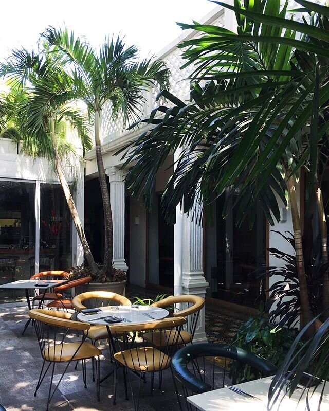 Food and this interior... 🙌🏻 🌴🍹 A cocktailbar, a sushi bar, or the amazing dishes from the chefs @carmenrestaurante ⚡️Find it all around this stunning courtyard.
When food is your guide do you, you end up in some pretty delicious places! 🤩. FIND