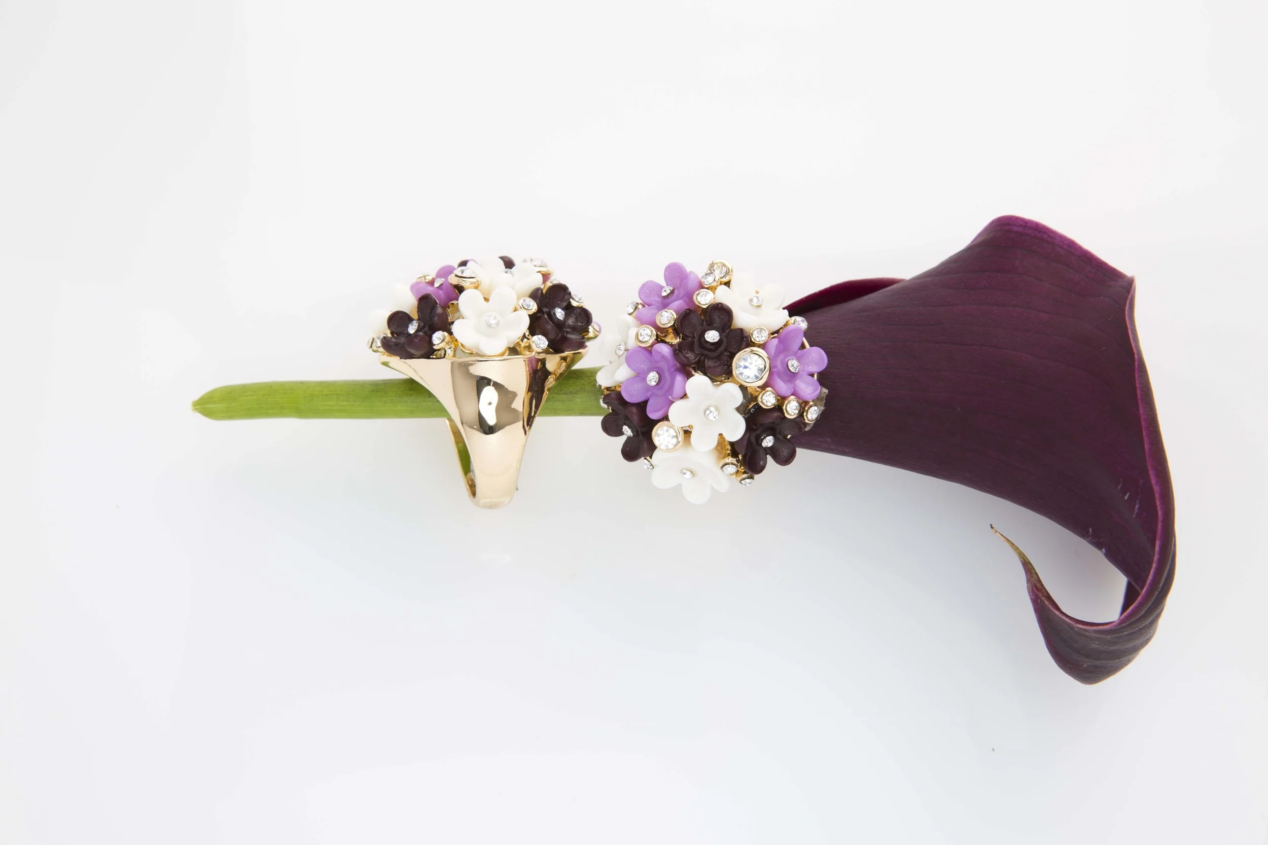 WINTER_BLOOMS 2_019.jpg
