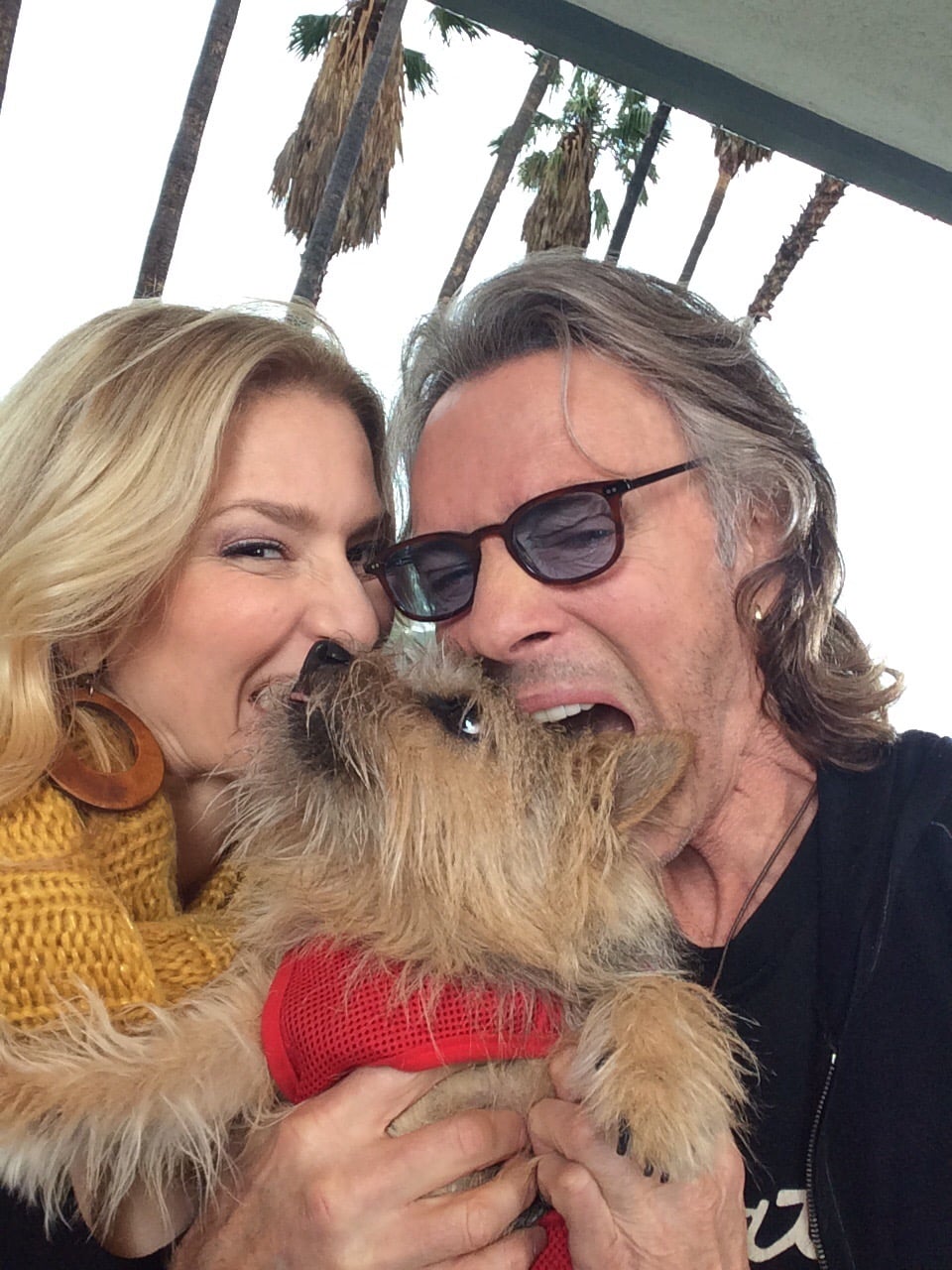 Rick Springfield