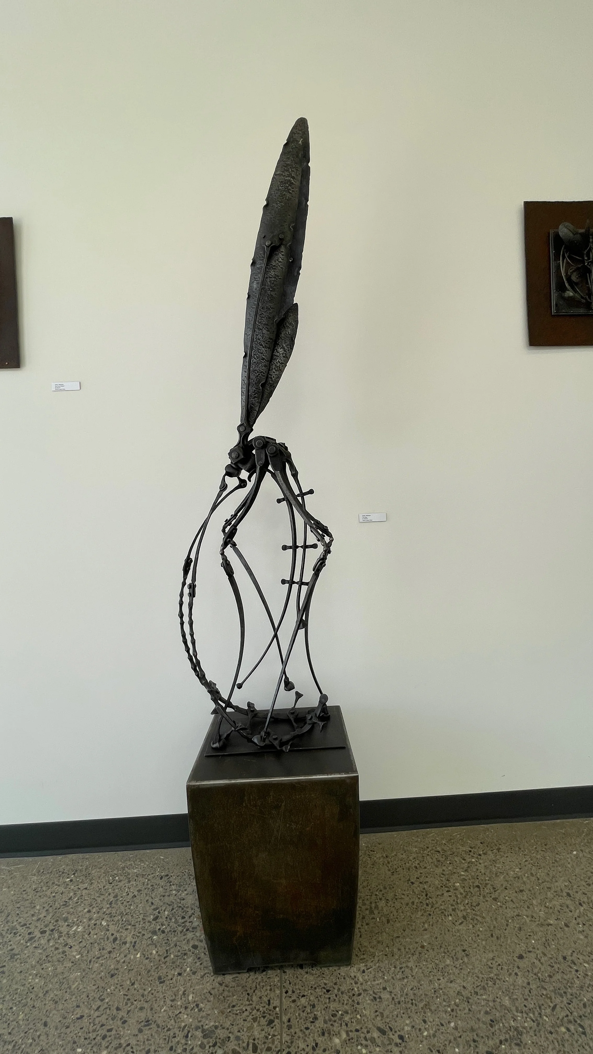 IMG_2101.jpeg