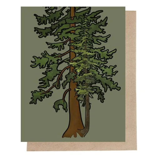 Two Trees (Douglas Fir + Hemlock Tree-Friends) Note Card