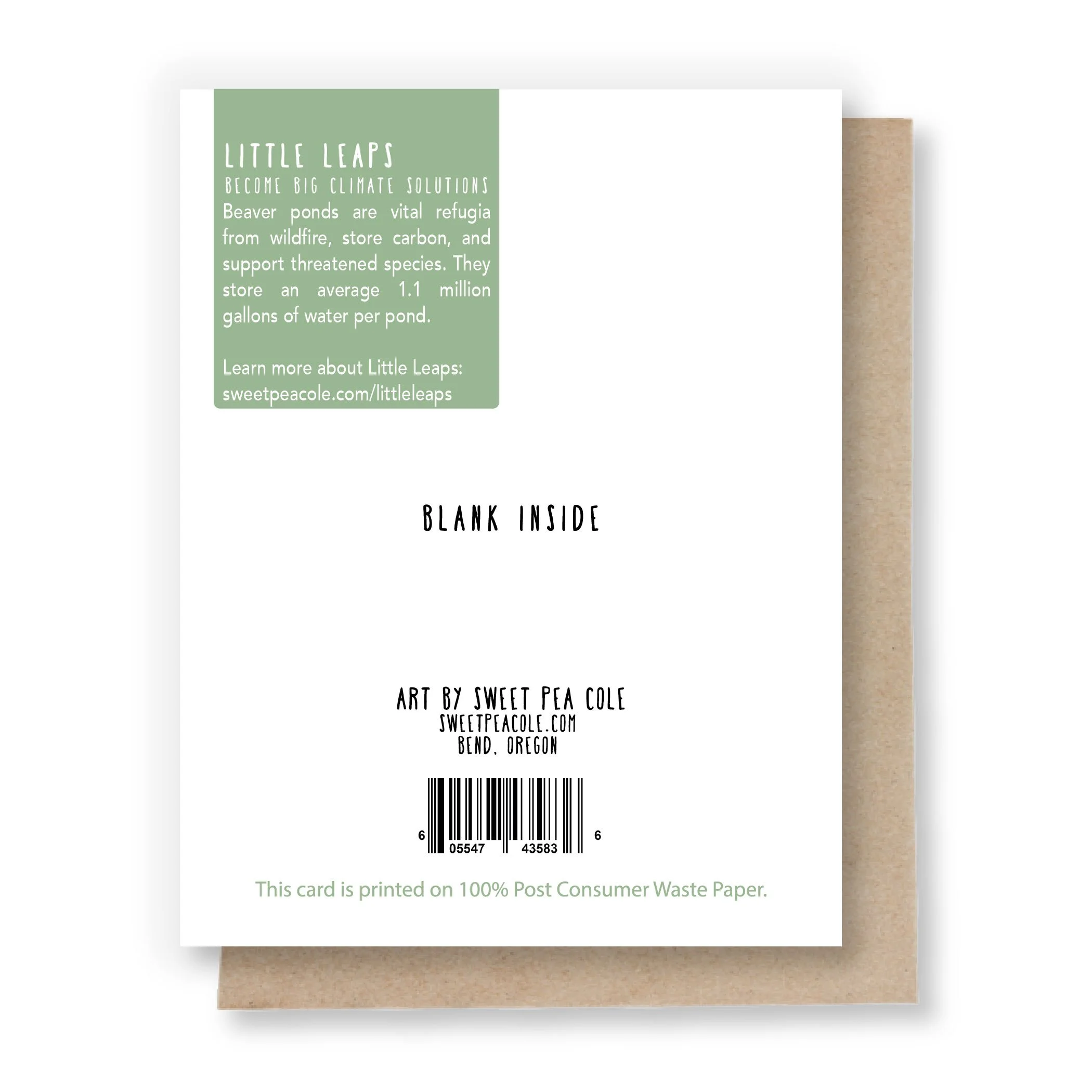 BD26044. 605547435836. Have a Truly Tree-mendous Birthday! A2 Card-03.jpg