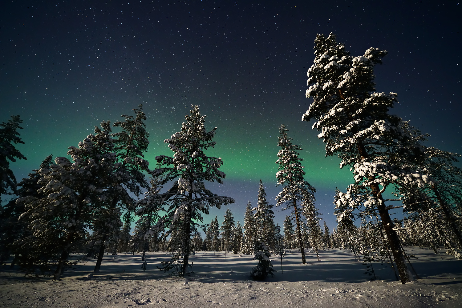 The Green Band Behind The Trees