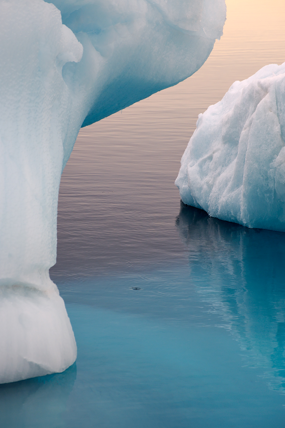  Svalbard (2009) 