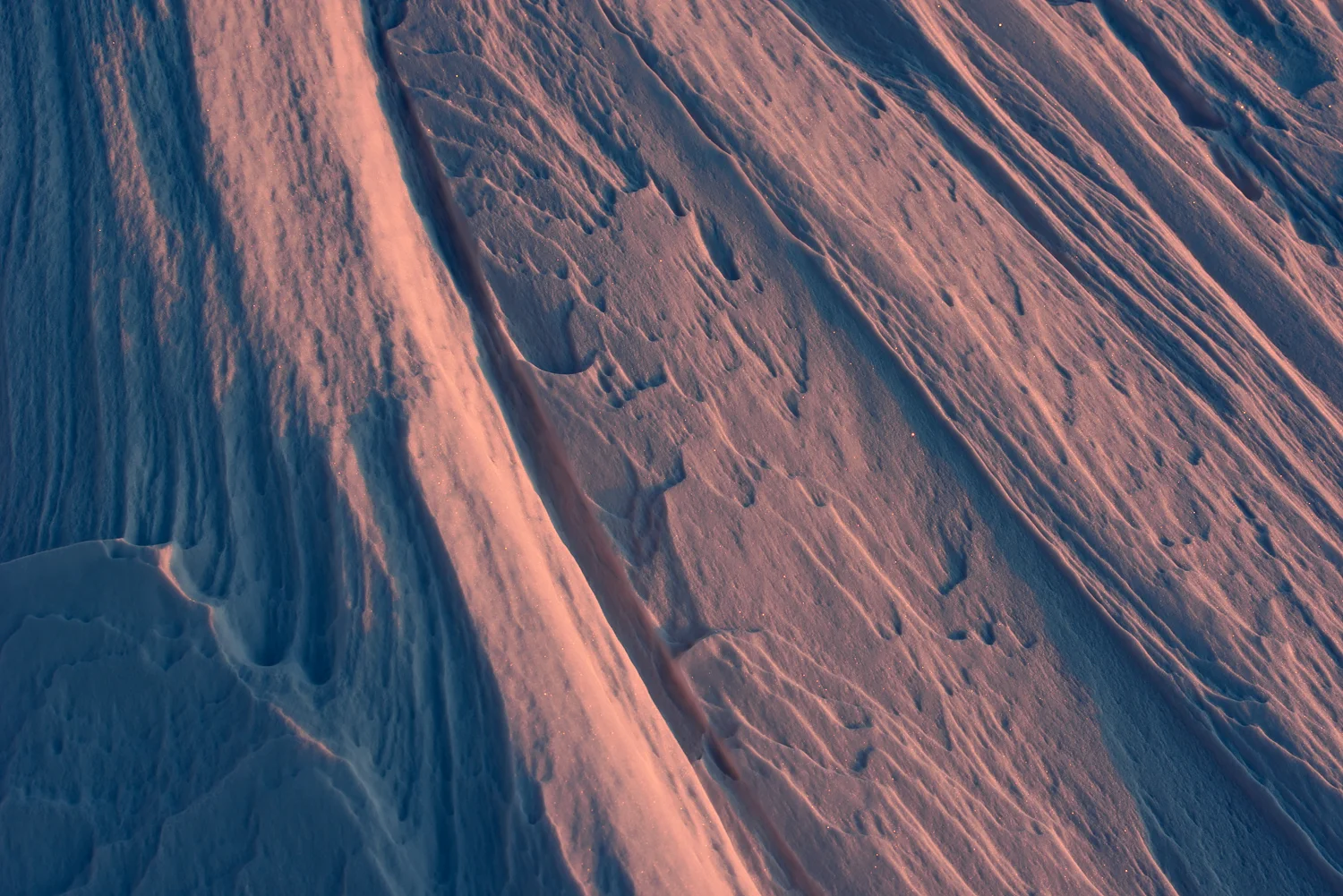 20141103-1633-2468.jpg
