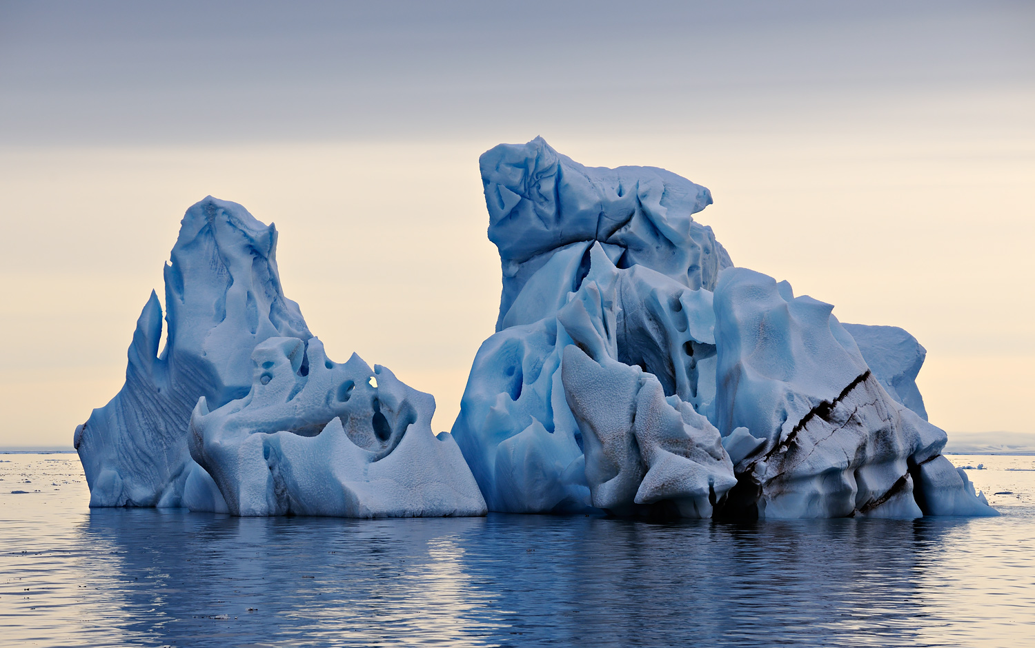 Study / Iceberg