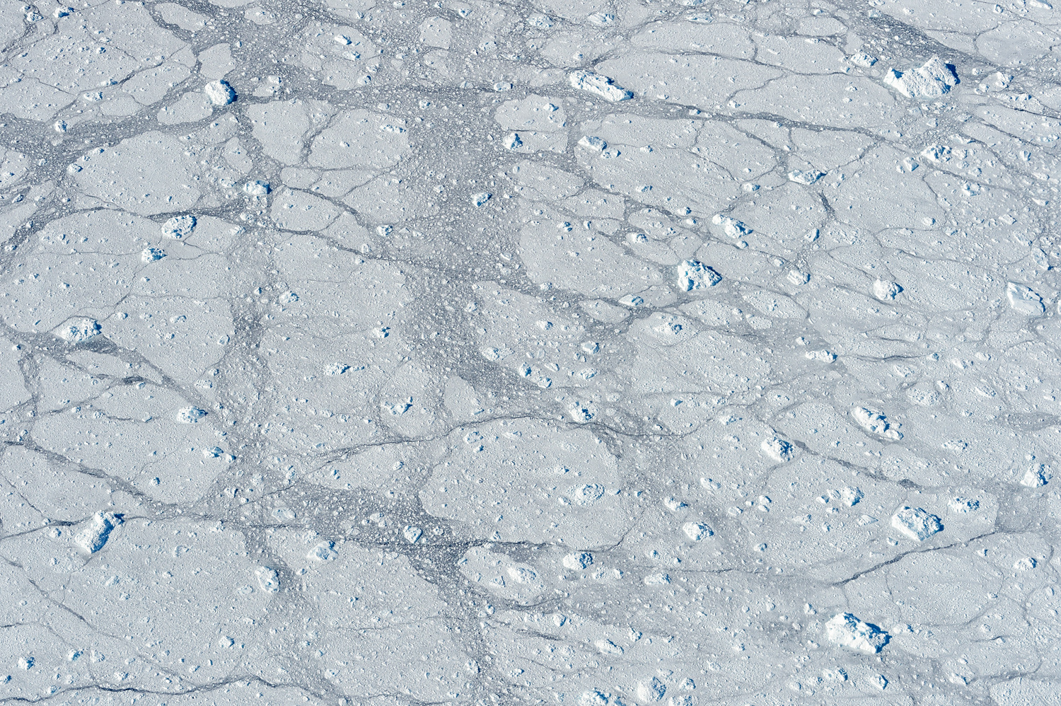 Im Eisfjord