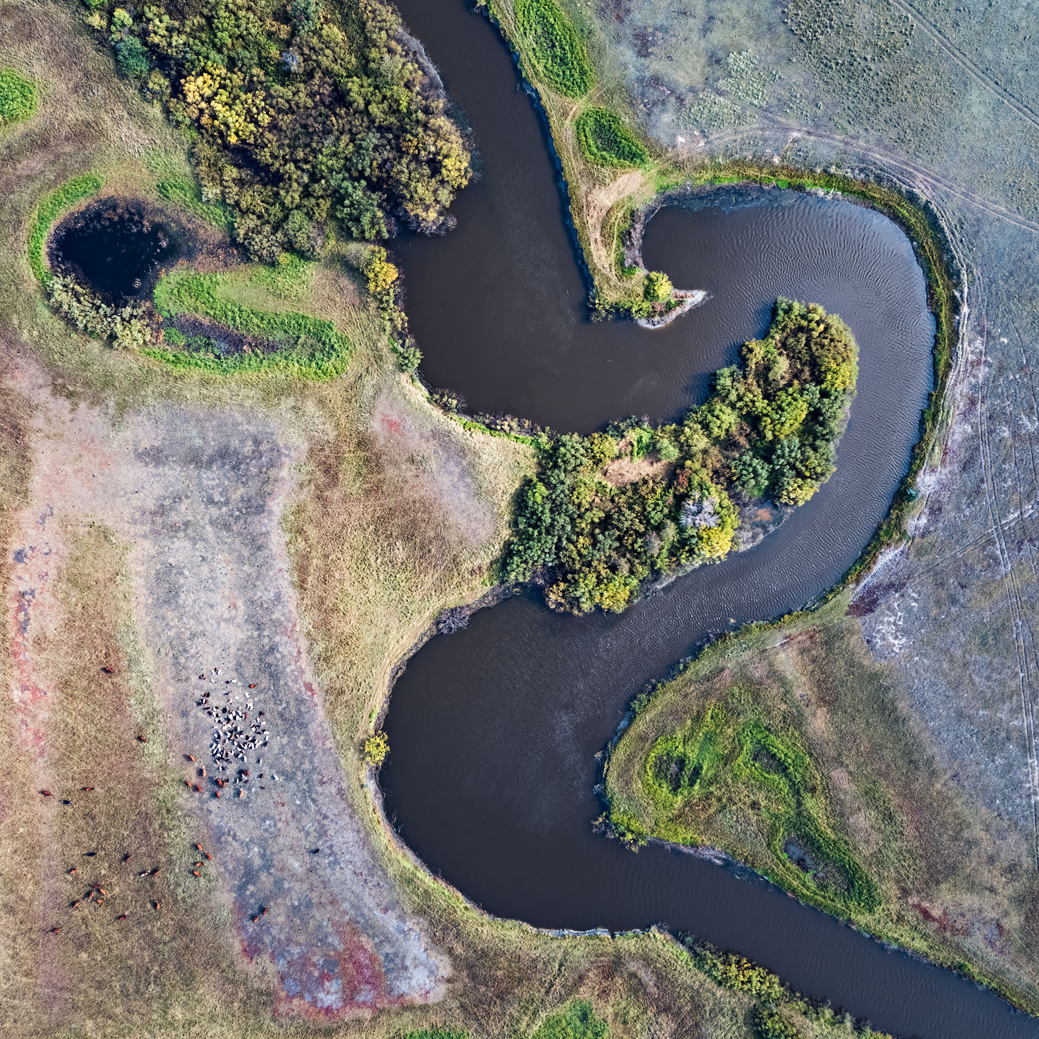 The Sign Of The River