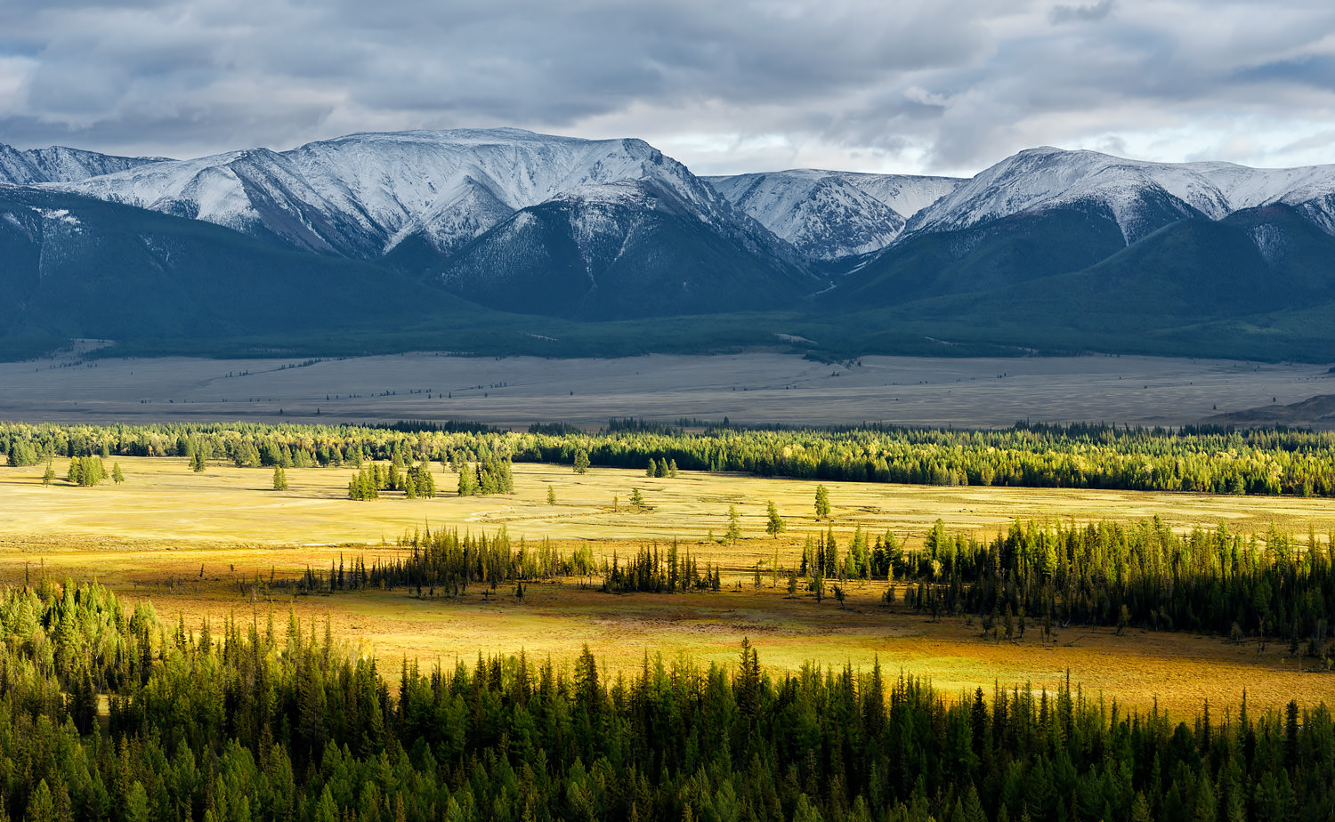 Radiant Steppe