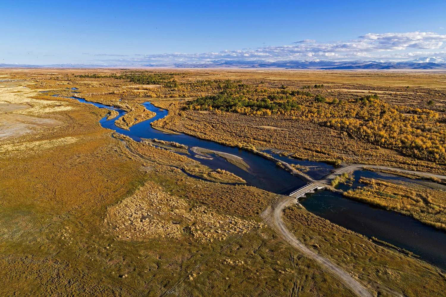 Chuya Steppe