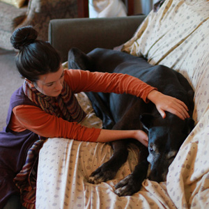 Treating clients' beloved, elderly Great Dane at home
