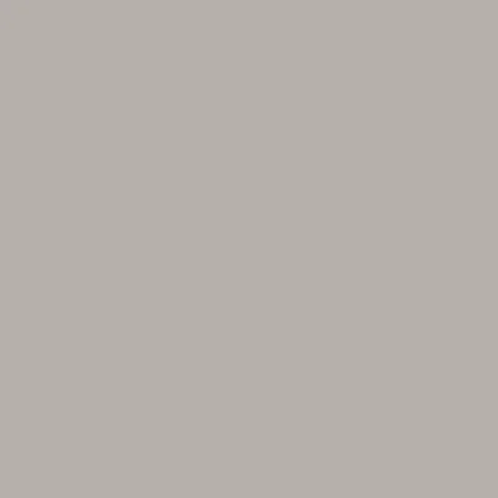 Benjamin Moore's Stone Harbor 2111-50