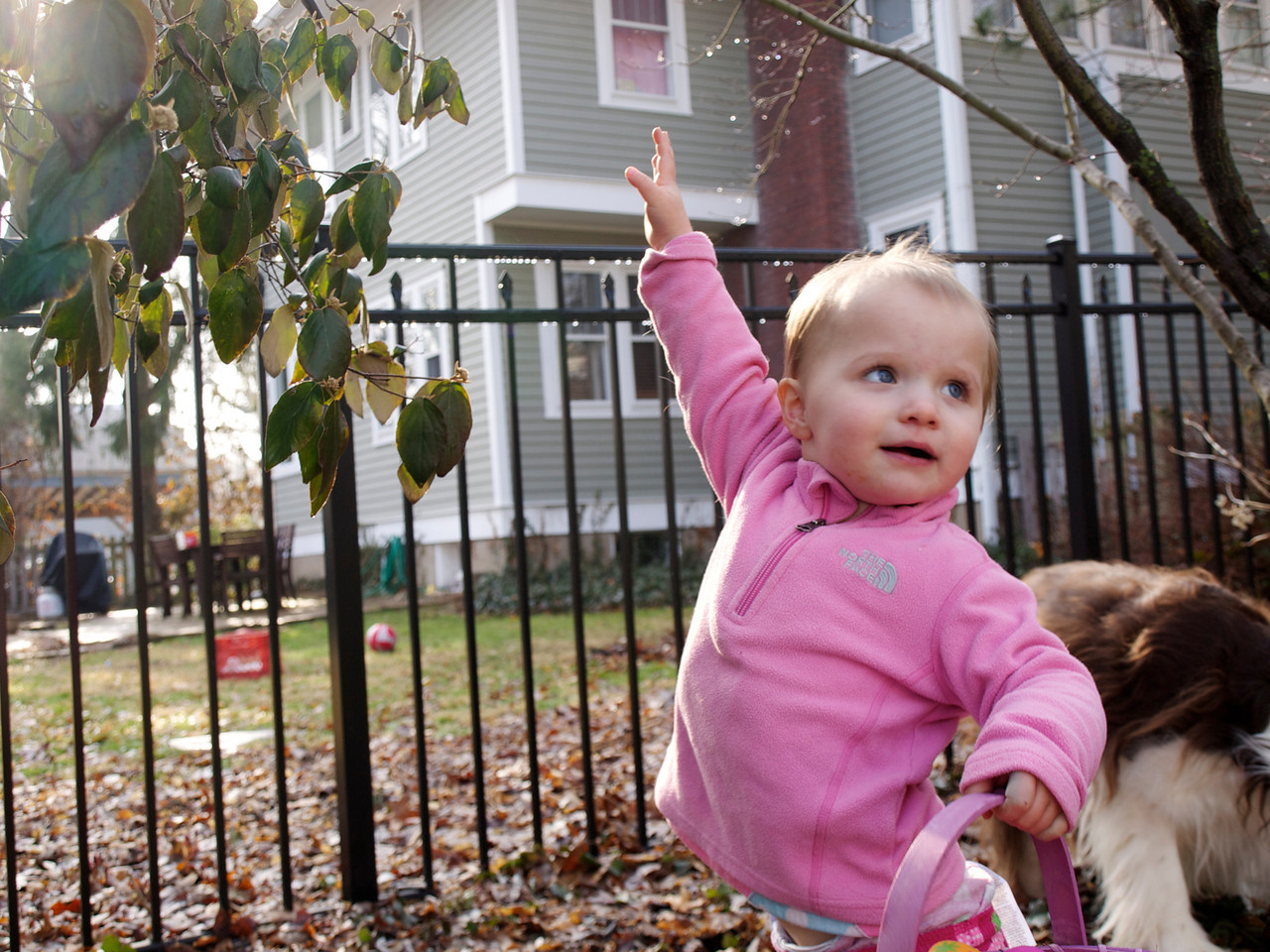 P3300653-X2.jpg