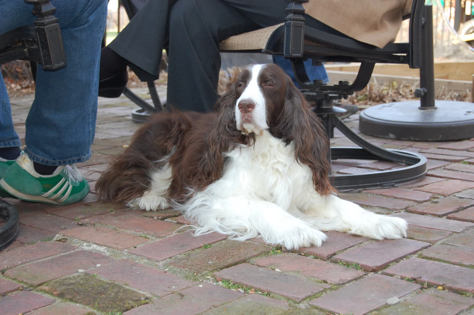 DSC_0001-X3.jpg