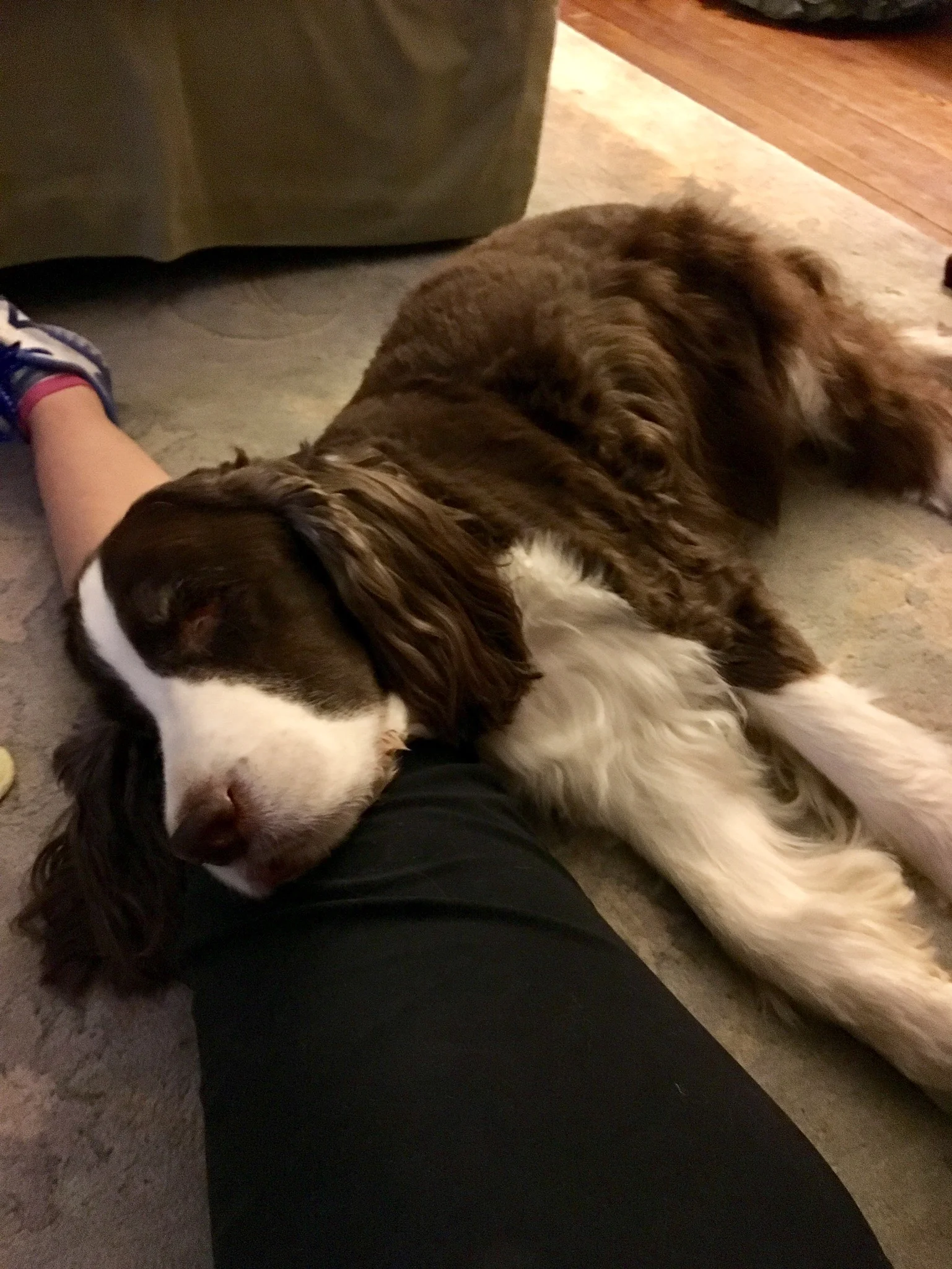 BIXTribute - 162.jpg