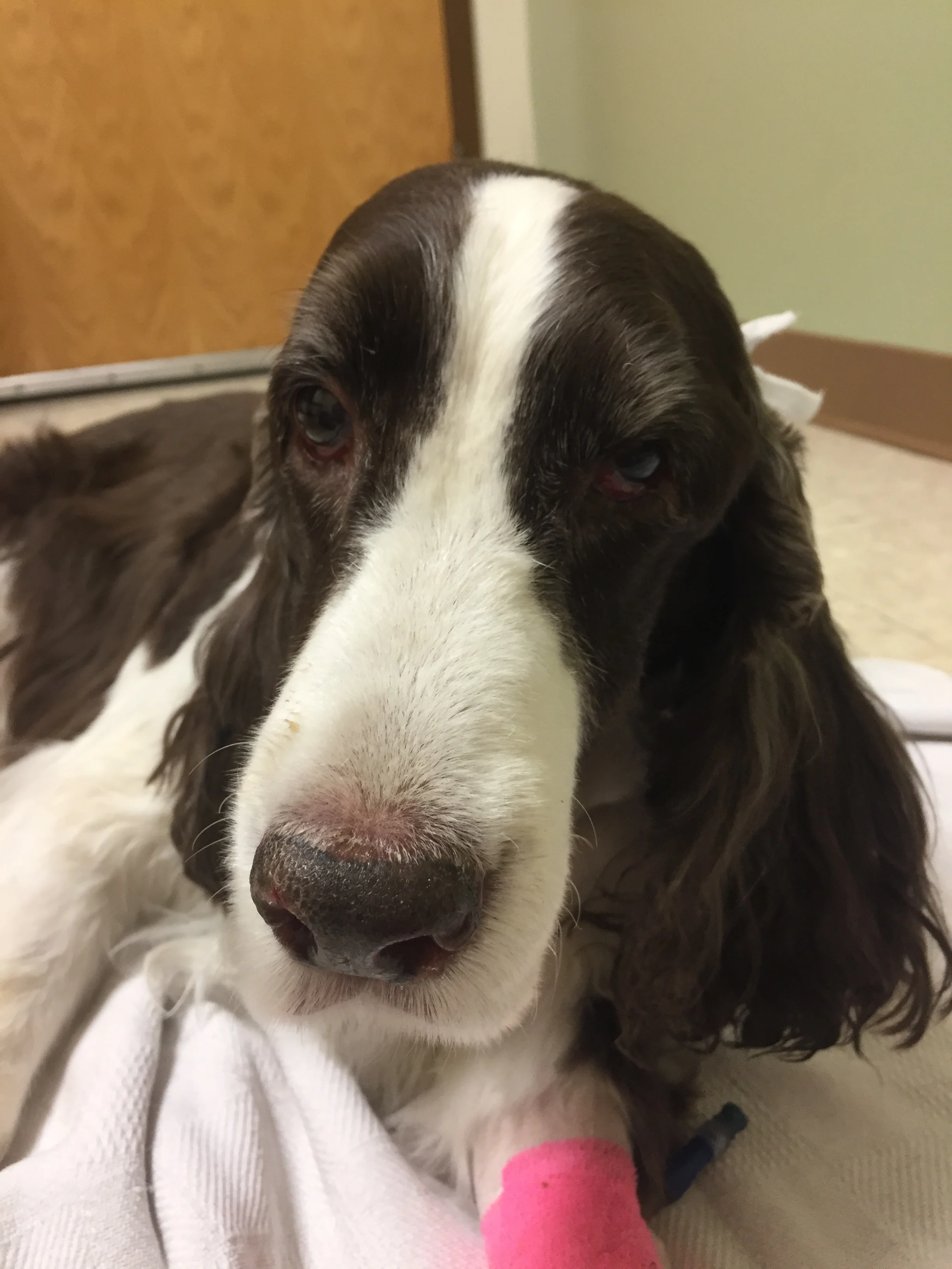 BIXTribute - 167.jpg