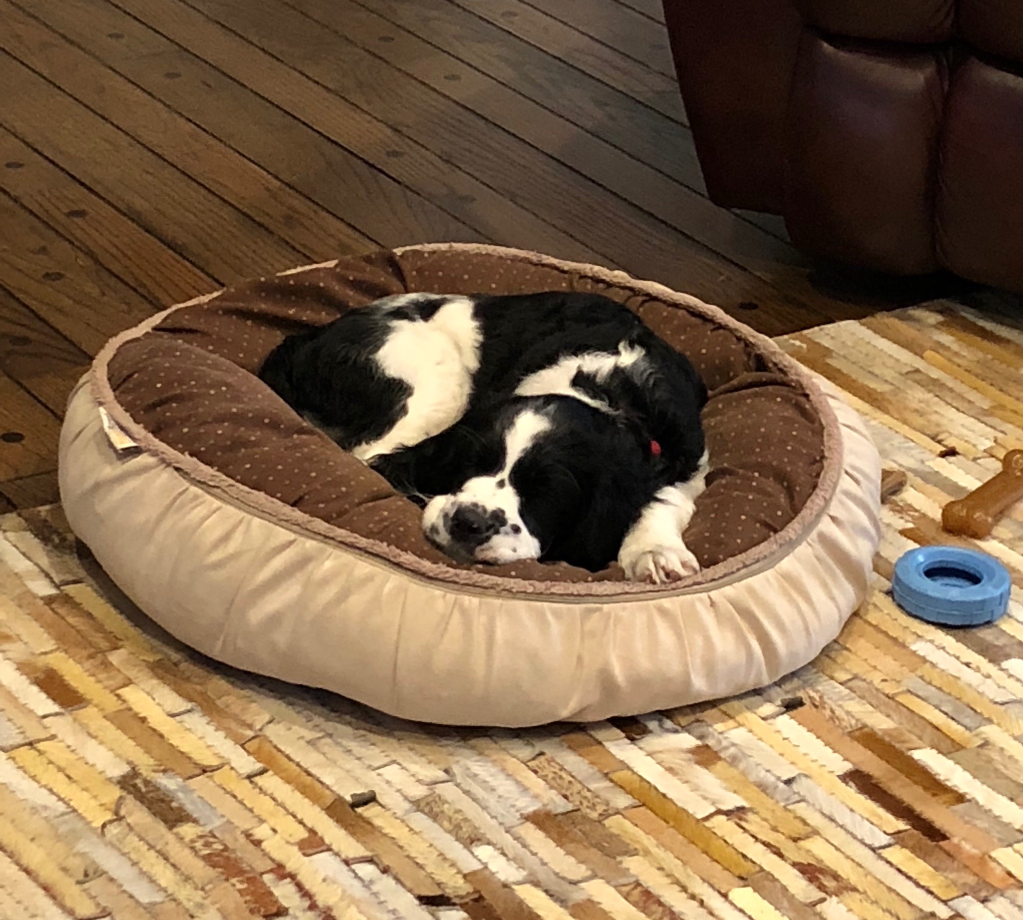 2018LOUIS - 9.jpg