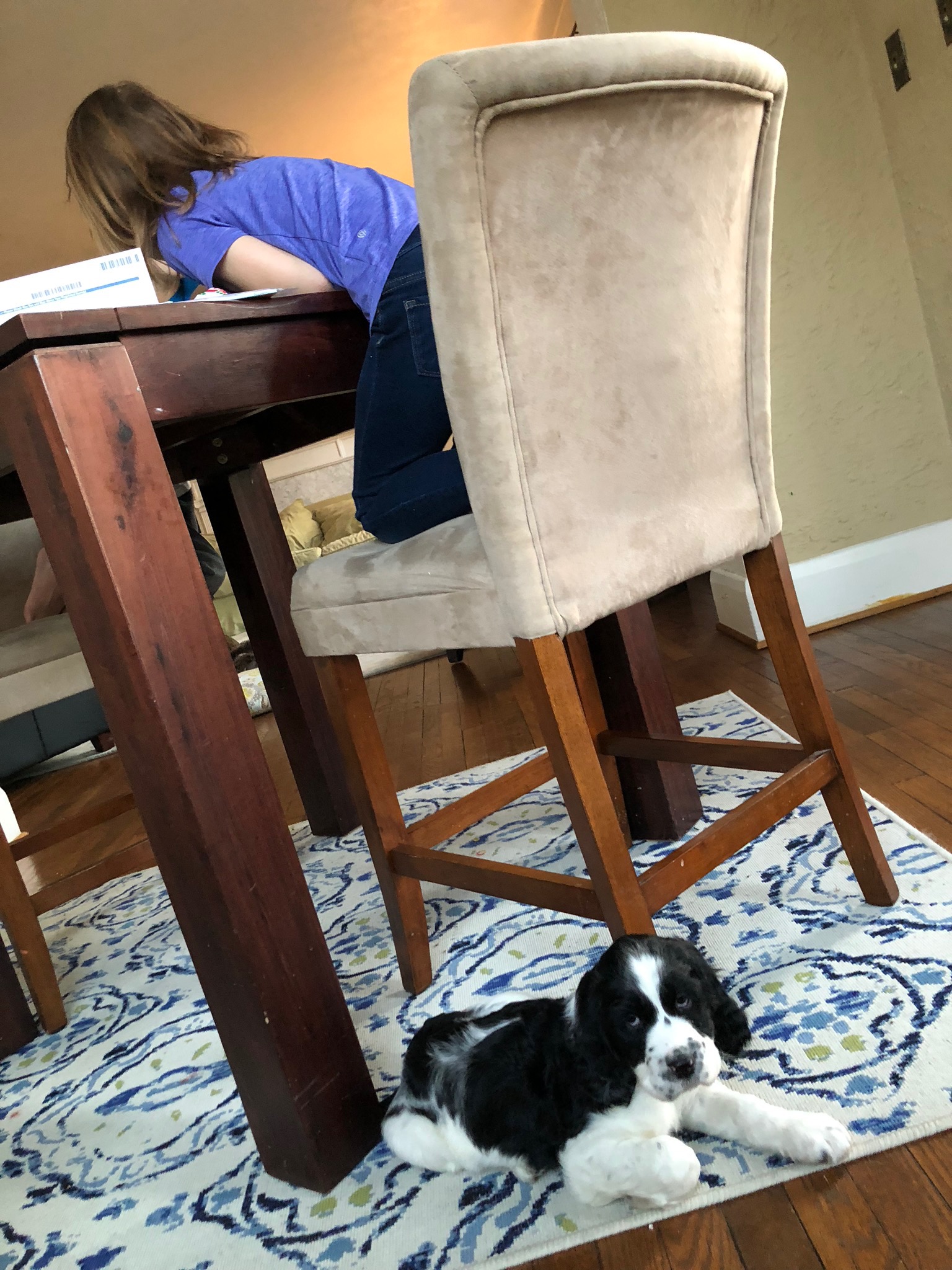 2018LOUIS - 12.jpg