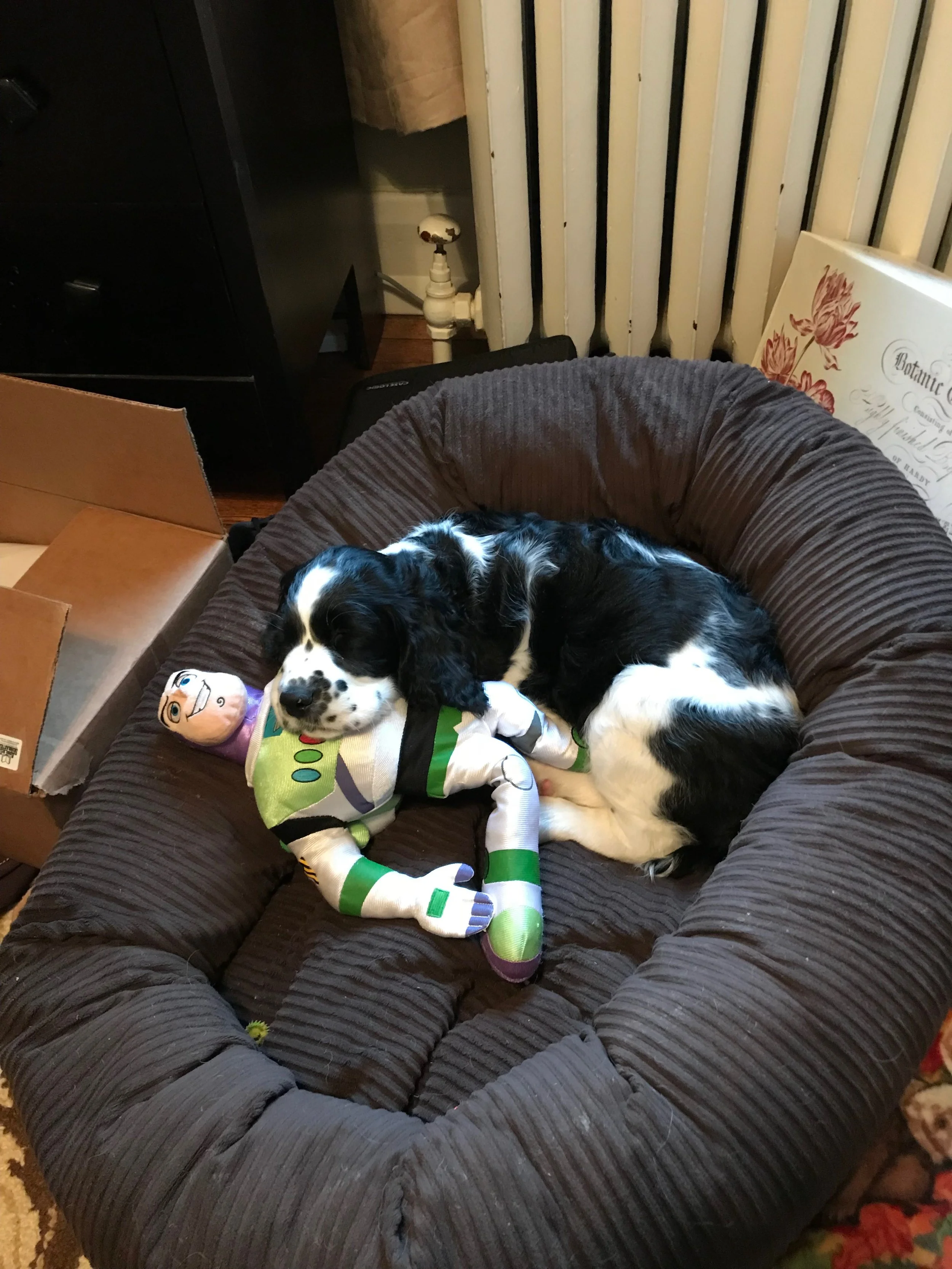2018LOUIS - 20.jpg