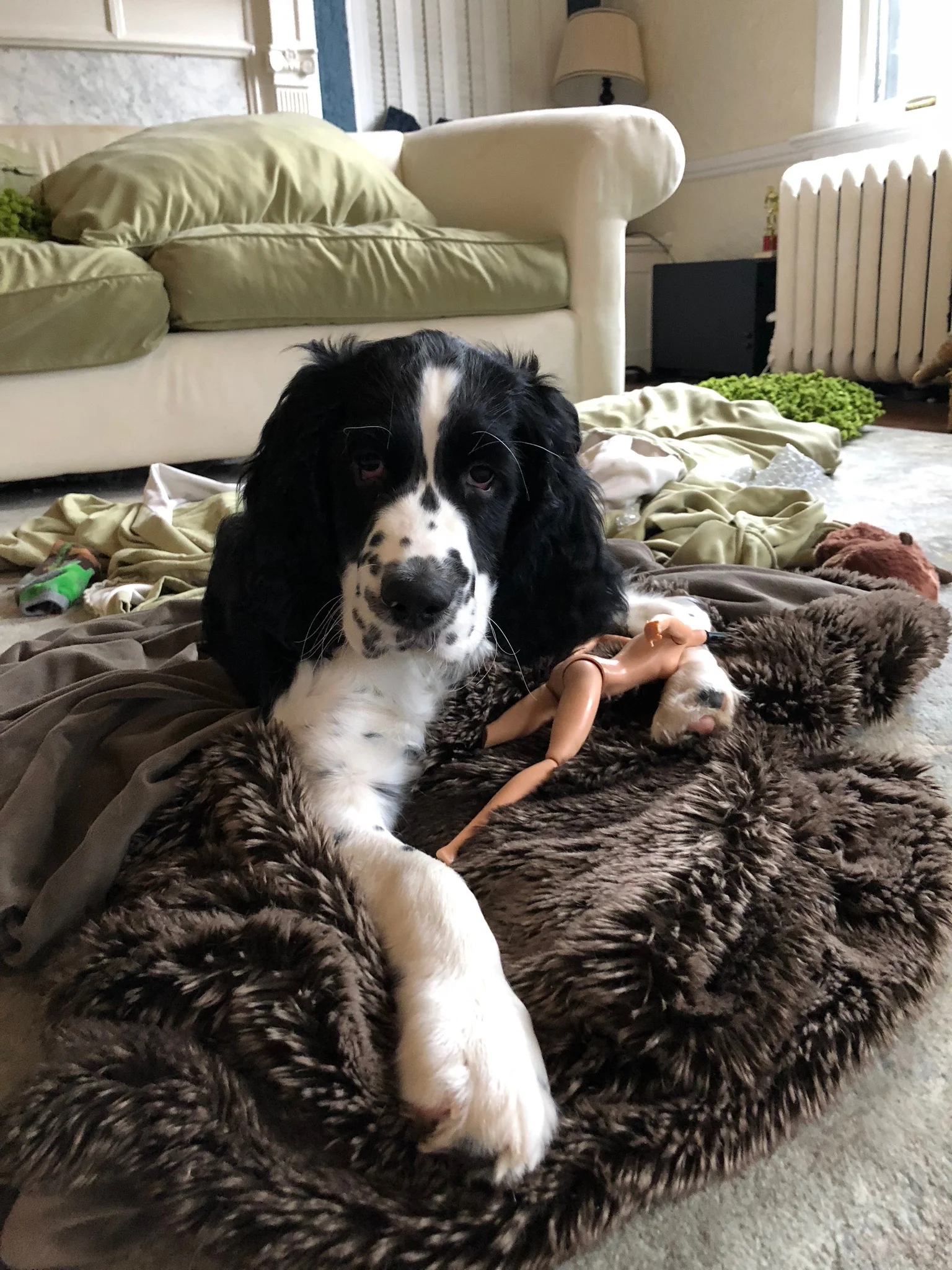 2018LOUIS - 29.jpg