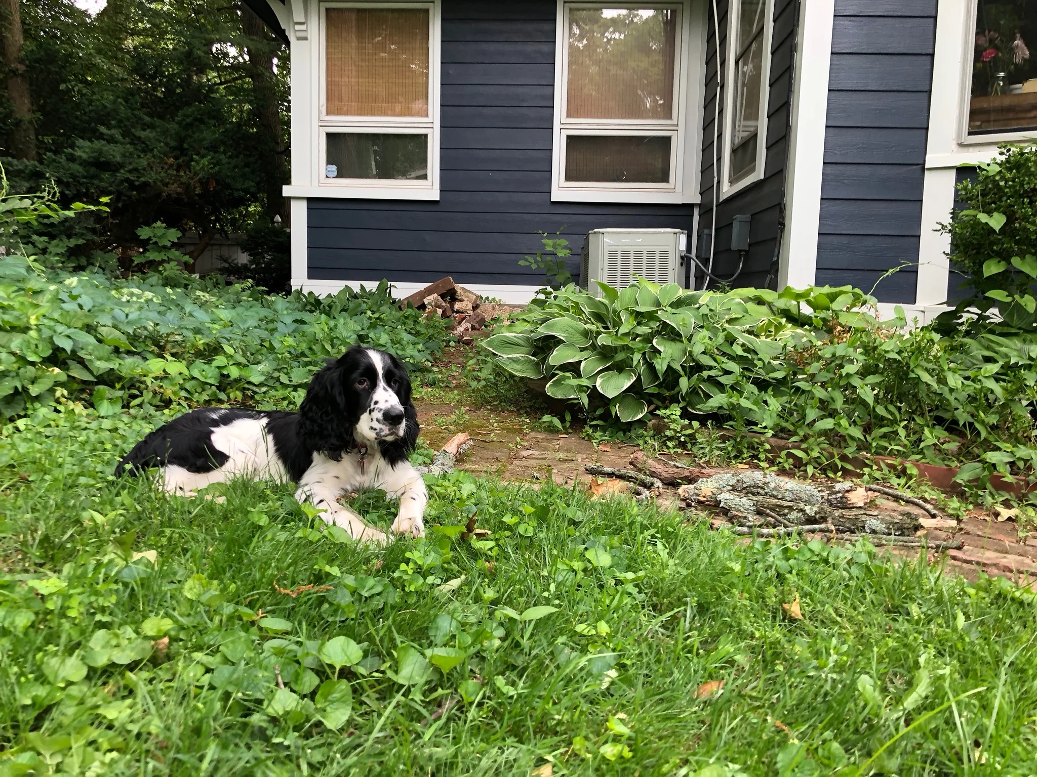 2018LOUIS - 42.jpg
