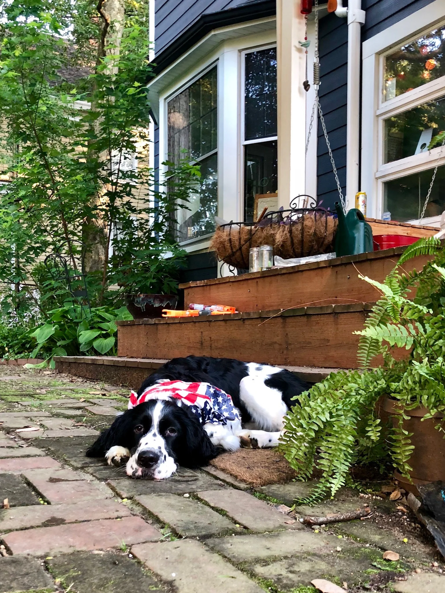 2018LOUIS - 46.jpg