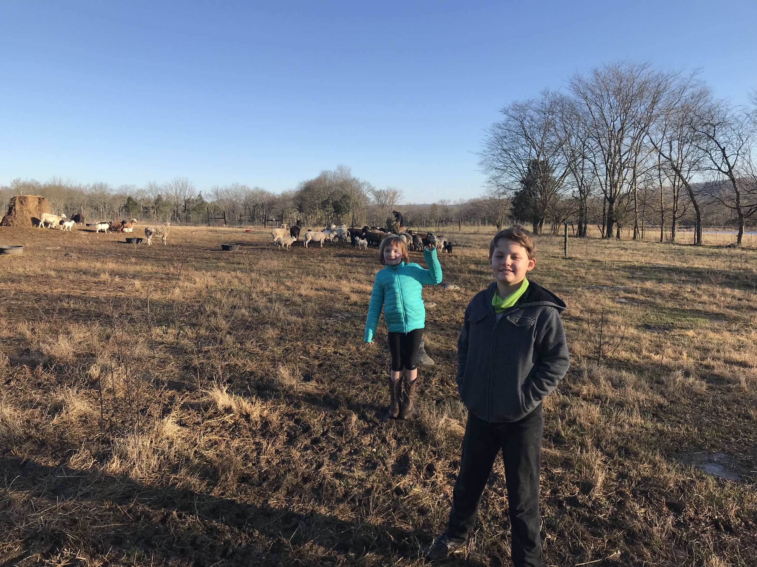 2019FARM - 1.jpg