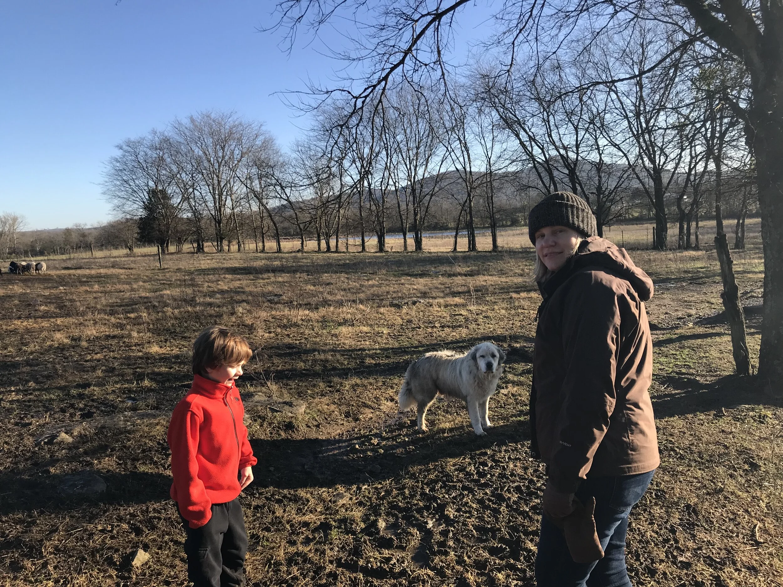 2019FARM - 2.jpg