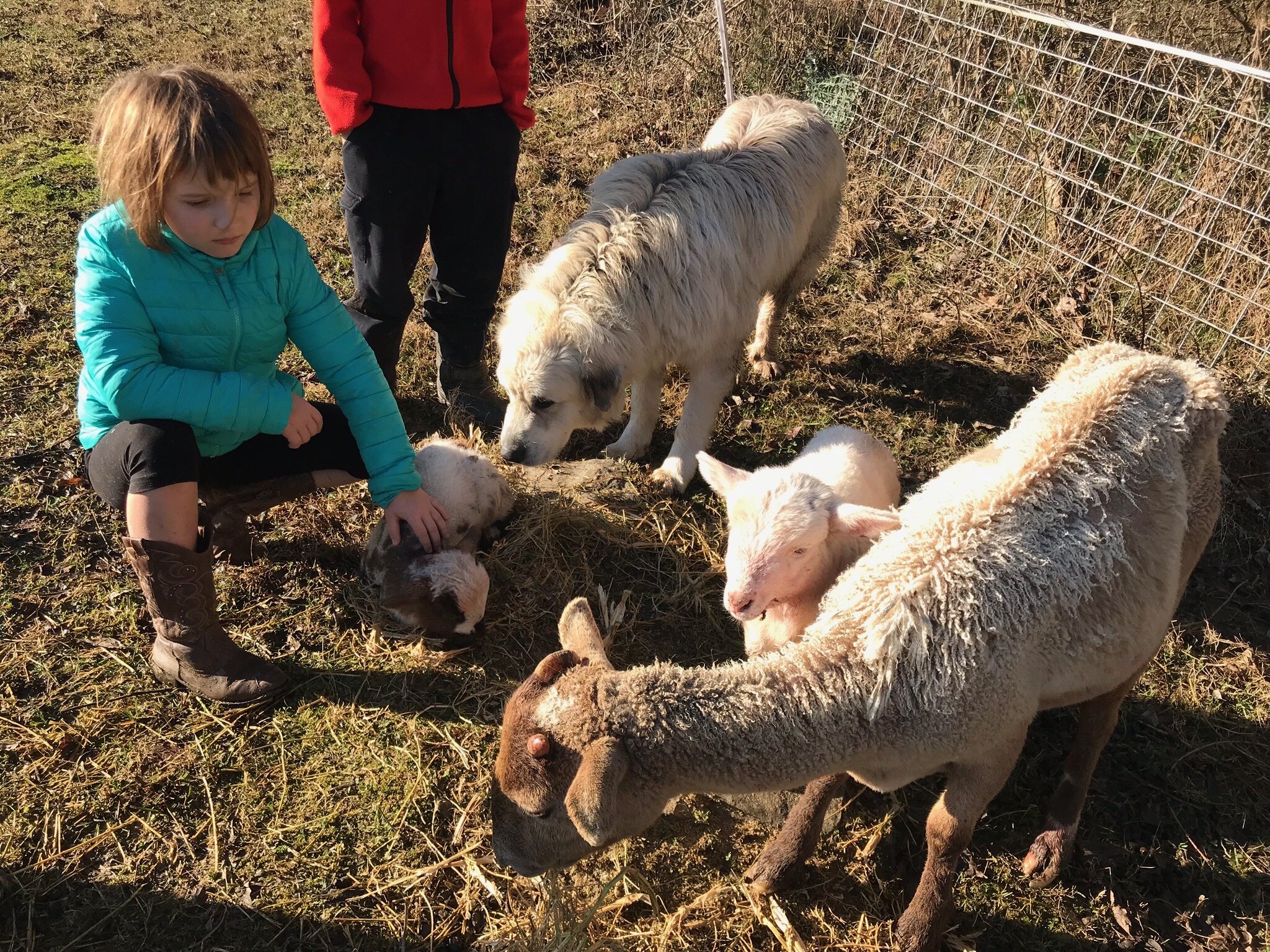 2019FARM - 9.jpg