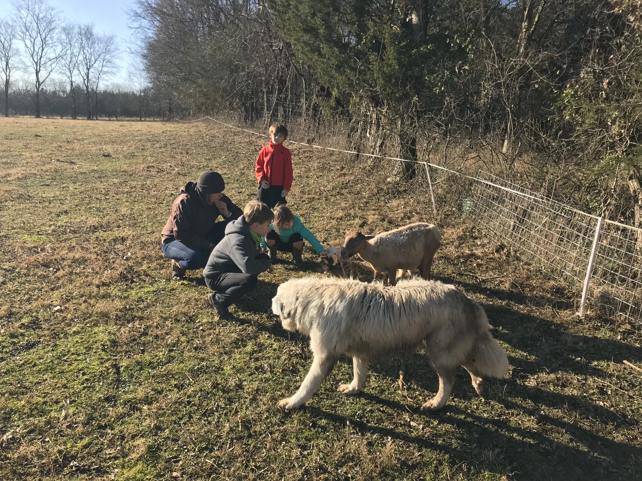 2019FARM - 8.jpg