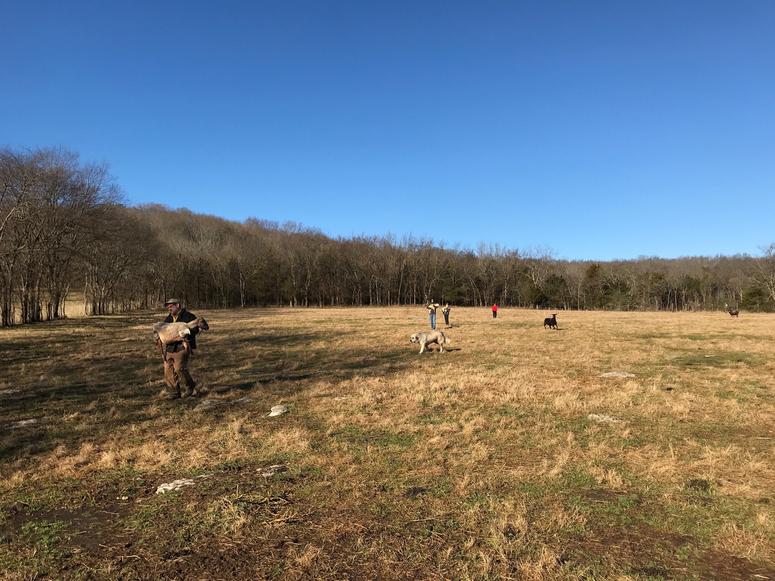 2019FARM - 10.jpg