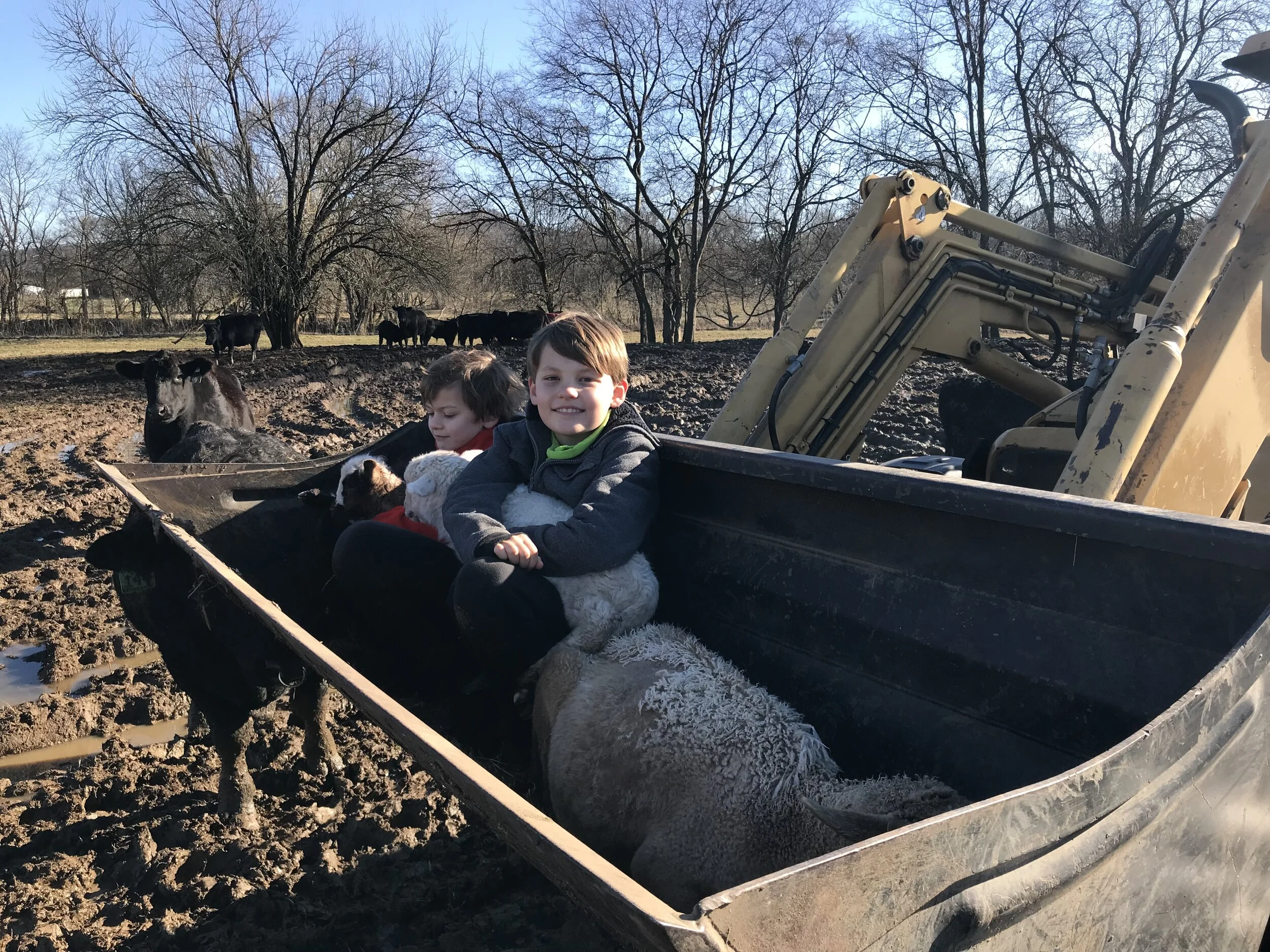 2019FARM - 13.jpg