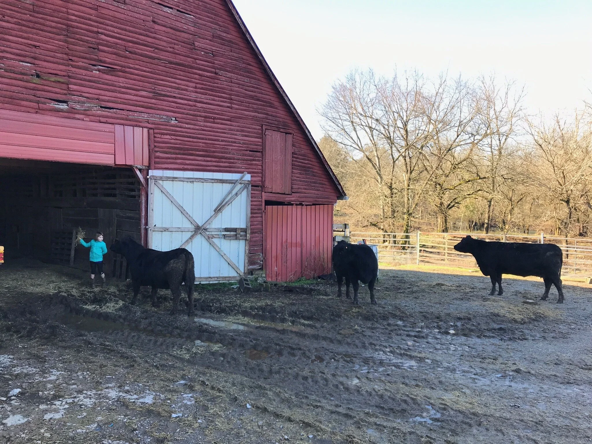 2019FARM - 18.jpg