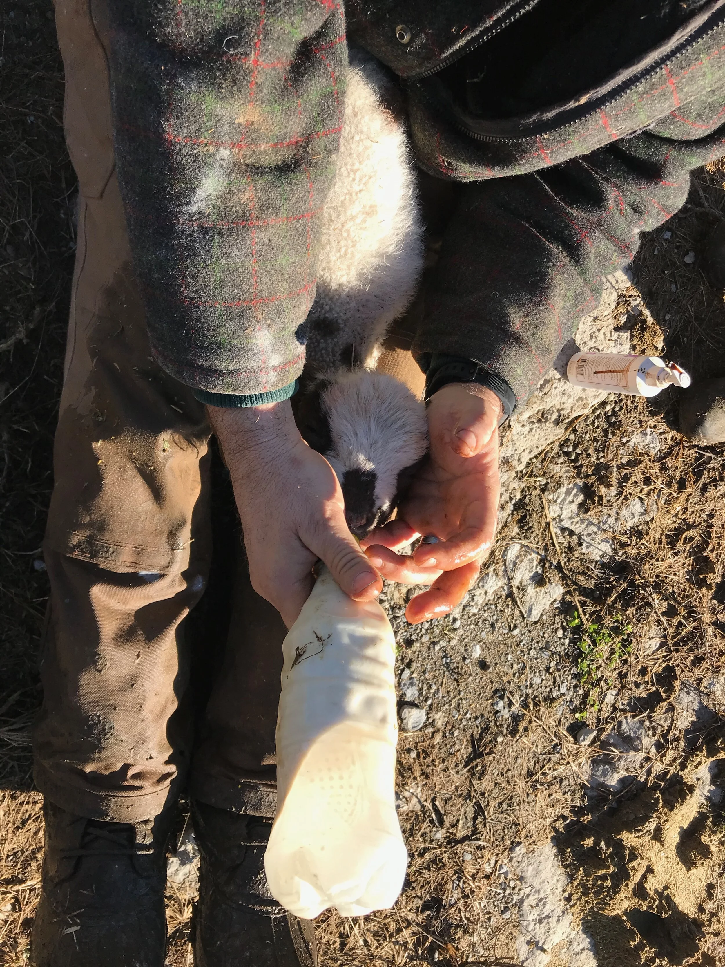 2019FARM - 20.jpg