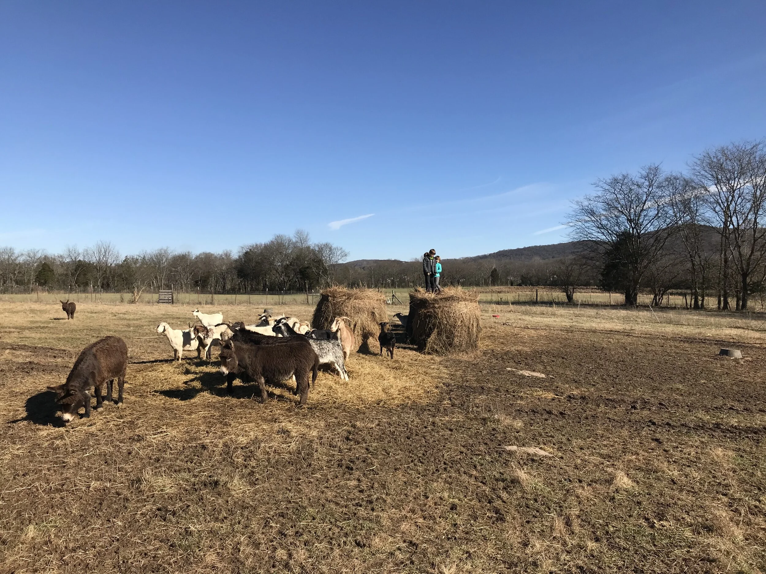 2019FARM - 27.jpg