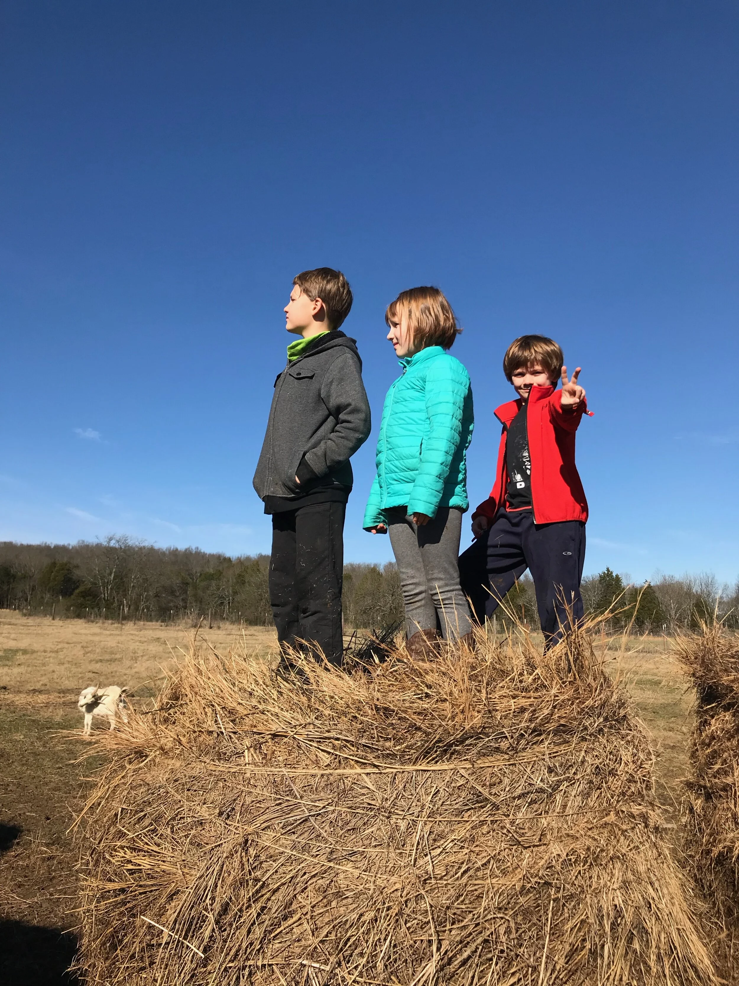 2019FARM - 28.jpg