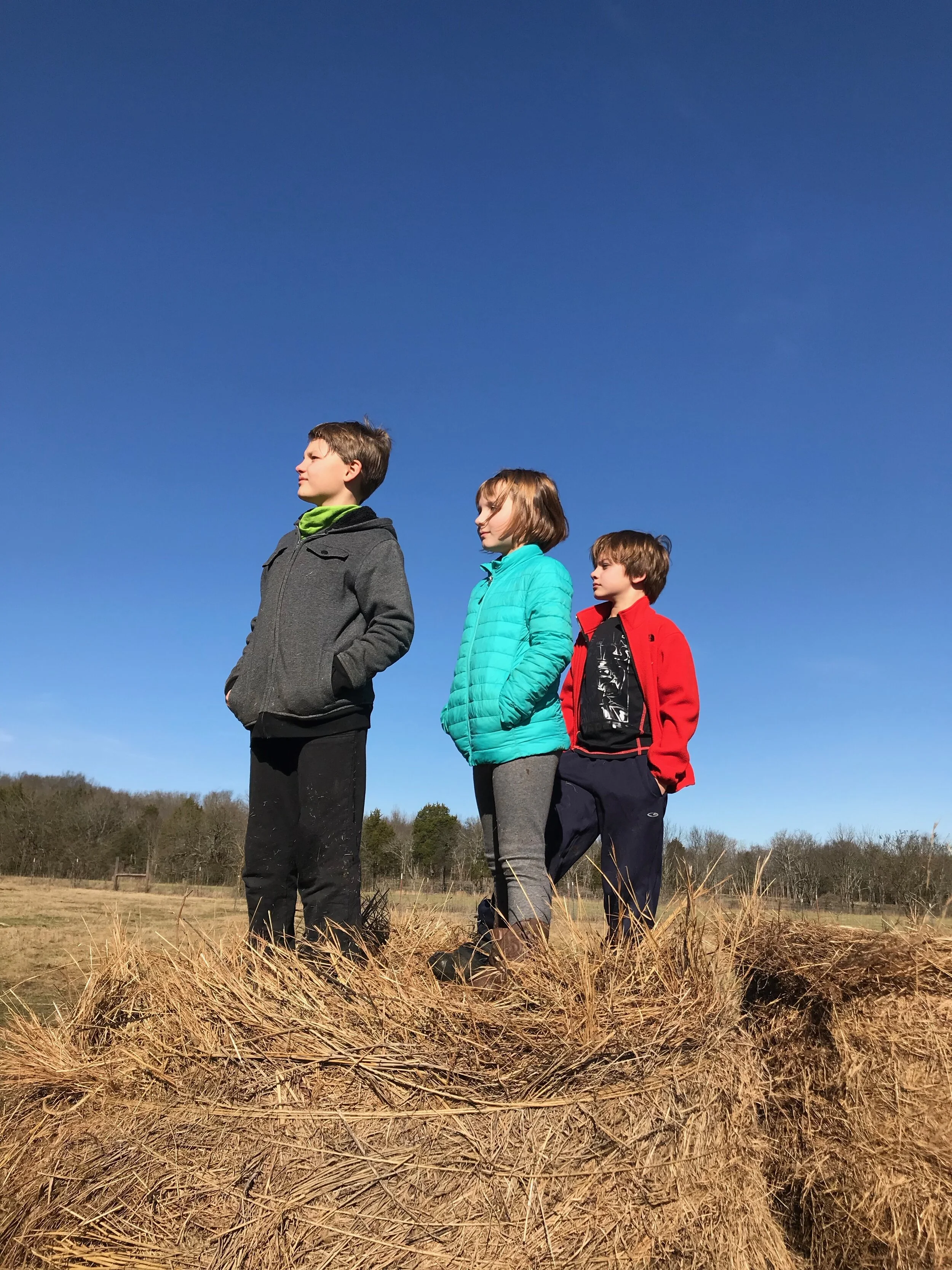 2019FARM - 29.jpg