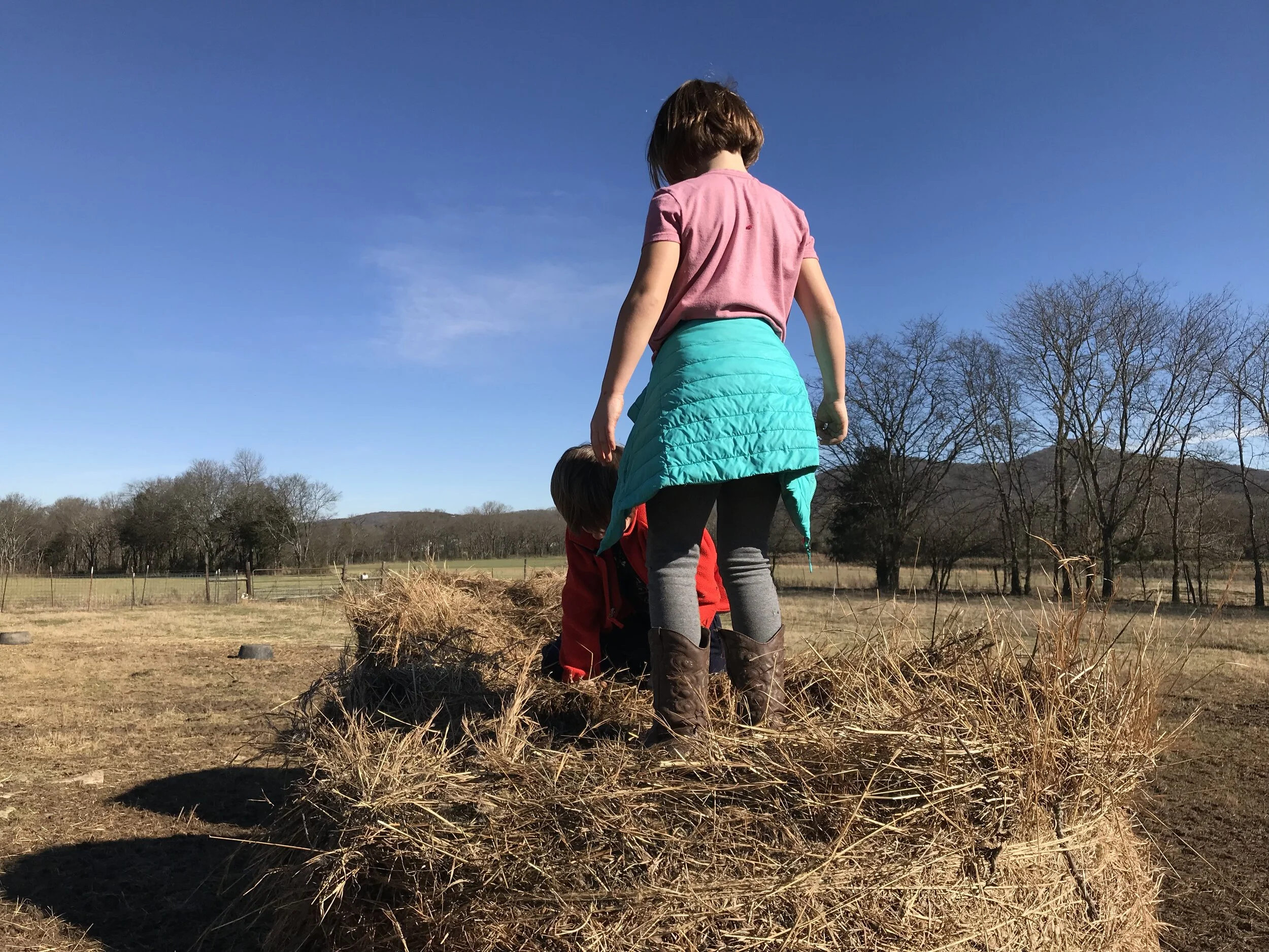 2019FARM - 33.jpg