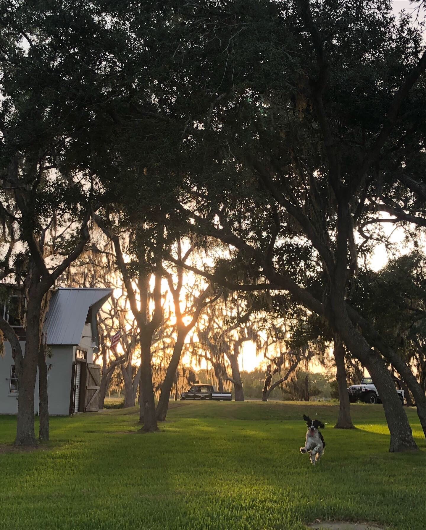 2019JAX - 3.jpg