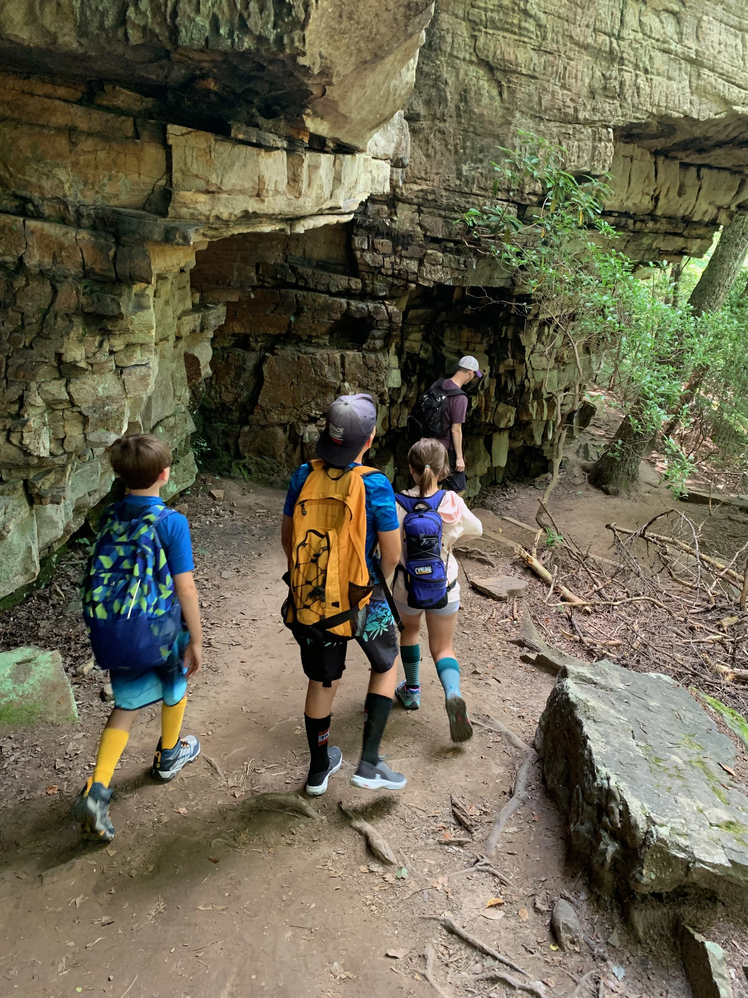 2020 TN Trip - 5 of 94.jpeg