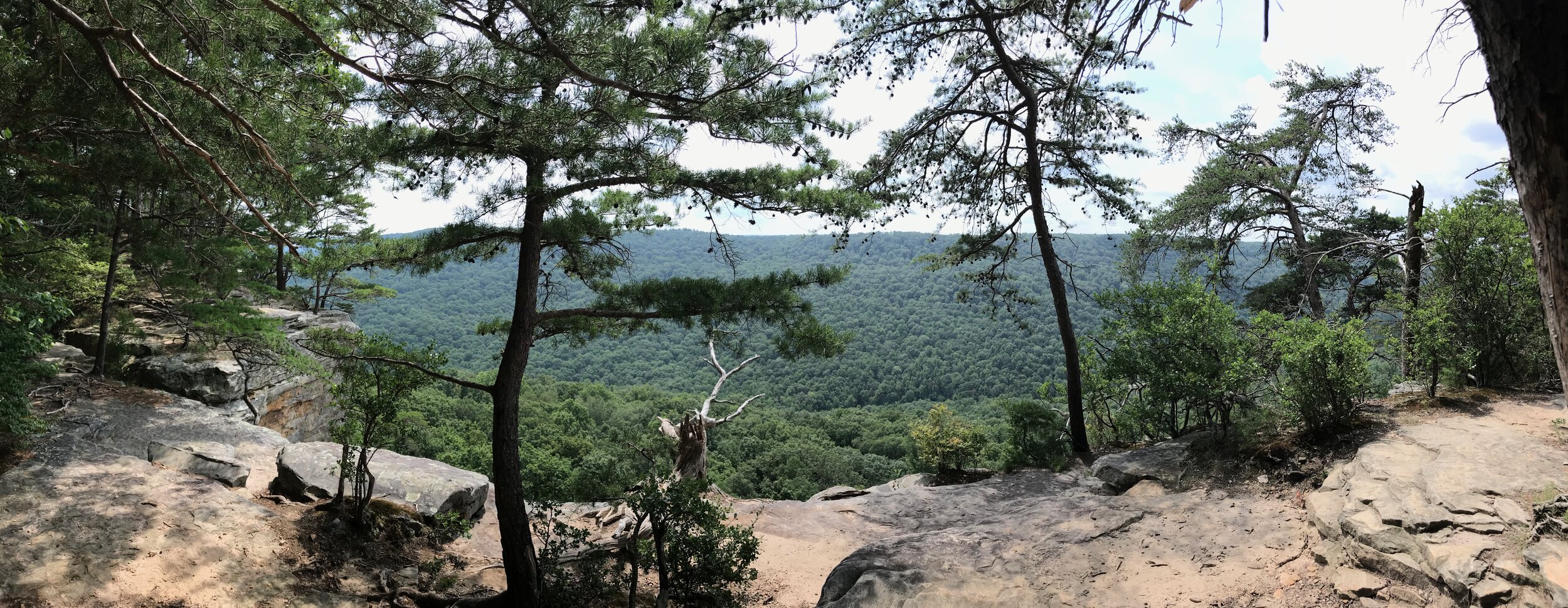 2020 TN Trip - 28 of 94.jpeg